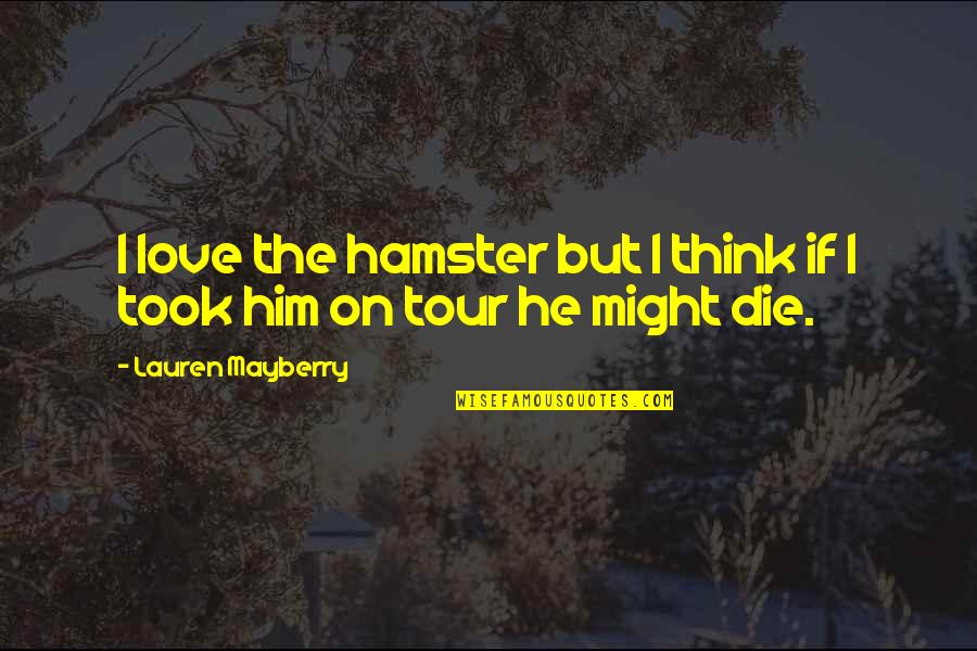 Your Hamster Quotes By Lauren Mayberry: I love the hamster but I think if Your Hamster Quotes By Lauren Mayberry: I love the hamster but I think if
