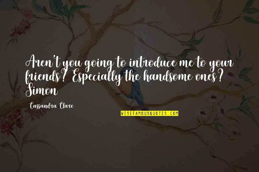 Your Handsome Quotes By Cassandra Clare: Aren't you going to introduce me to your
