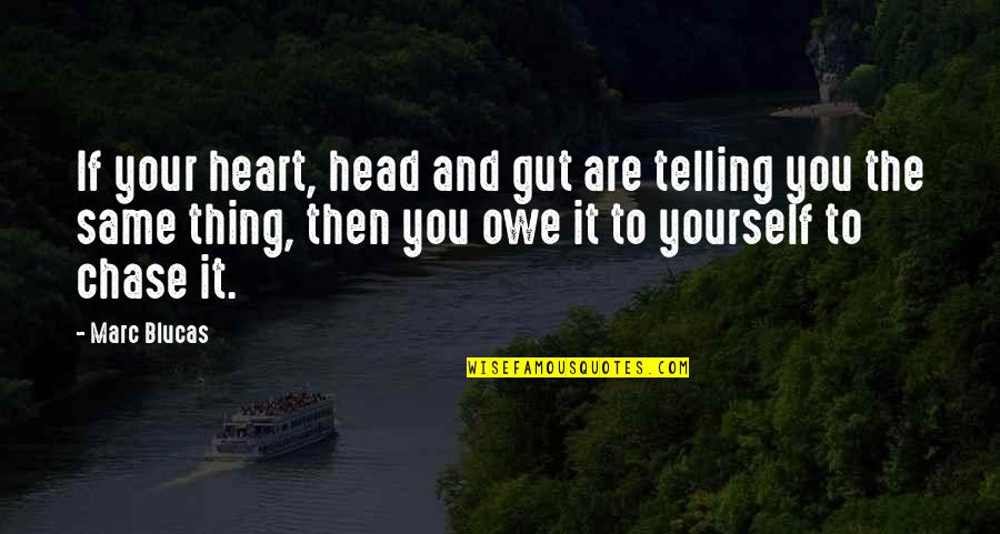 Your Head And Heart Quotes By Marc Blucas: If your heart, head and gut are telling