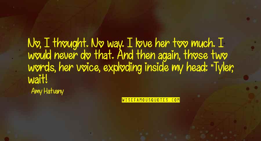 Your Head Exploding Quotes By Amy Hatvany: No, I thought. No way. I love her