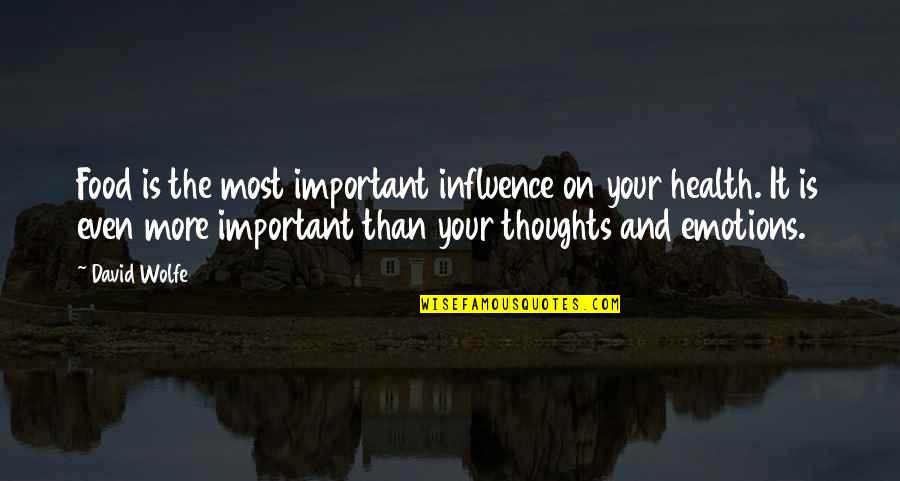 Your Health Is Important Quotes By David Wolfe: Food is the most important influence on your Your Health Is Important Quotes By David Wolfe: Food is the most important influence on your