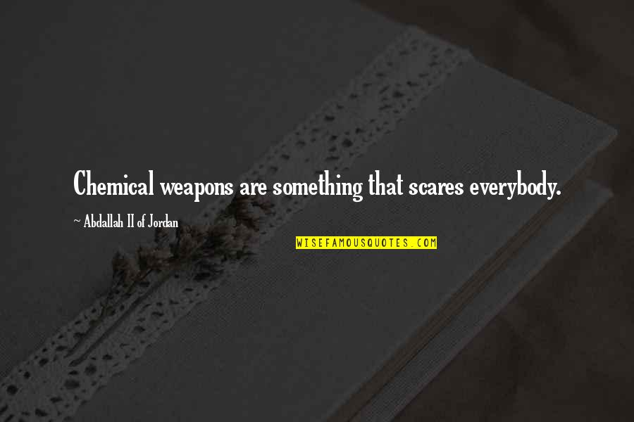 Your Health Is Our Concern Quotes By Abdallah II Of Jordan: Chemical weapons are something that scares everybody.