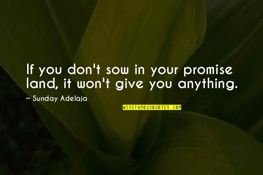 Your Heart Dropping Quotes By Sunday Adelaja: If you don't sow in your promise land,