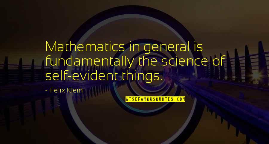 Your Husband In Heaven Quotes By Felix Klein: Mathematics in general is fundamentally the science of