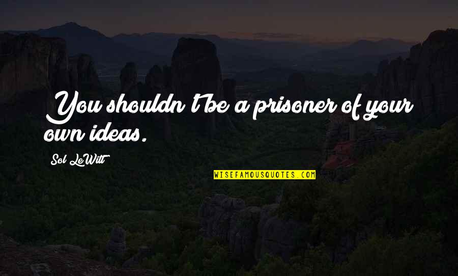 Your Ideas Quotes By Sol LeWitt: You shouldn't be a prisoner of your own