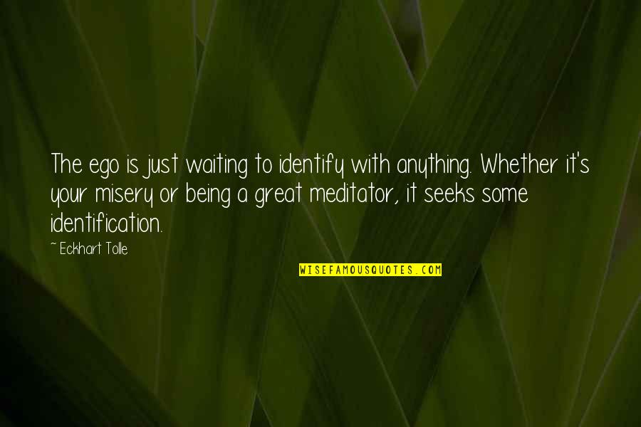 Your Identification Quotes By Eckhart Tolle: The ego is just waiting to identify with