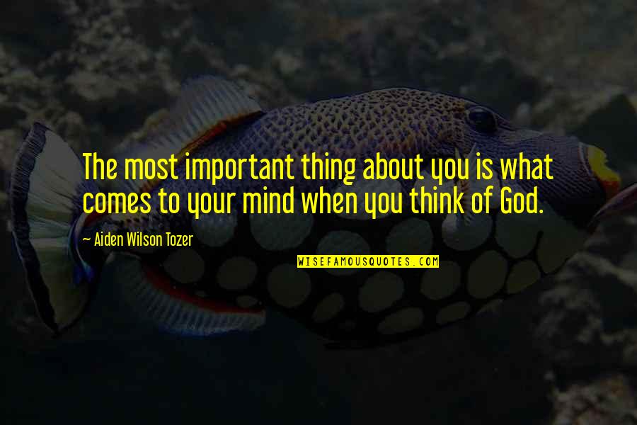 Your Important Quotes By Aiden Wilson Tozer: The most important thing about you is what