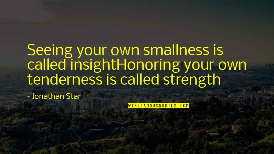 Your Insight Quotes By Jonathan Star: Seeing your own smallness is called insightHonoring your