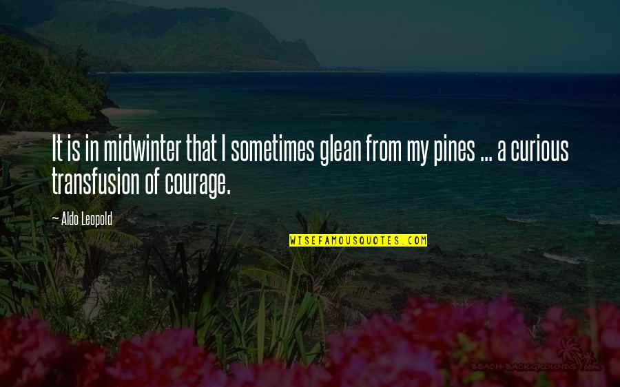 Your Kid Going To College Quotes By Aldo Leopold: It is in midwinter that I sometimes glean Your Kid Going To College Quotes By Aldo Leopold: It is in midwinter that I sometimes glean