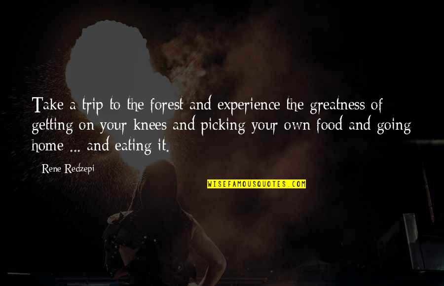 Your Knees Quotes By Rene Redzepi: Take a trip to the forest and experience Your Knees Quotes By Rene Redzepi: Take a trip to the forest and experience