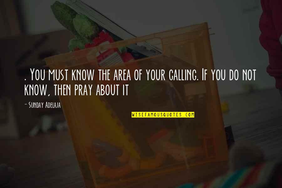 Your Life Calling Quotes By Sunday Adelaja: . You must know the area of your