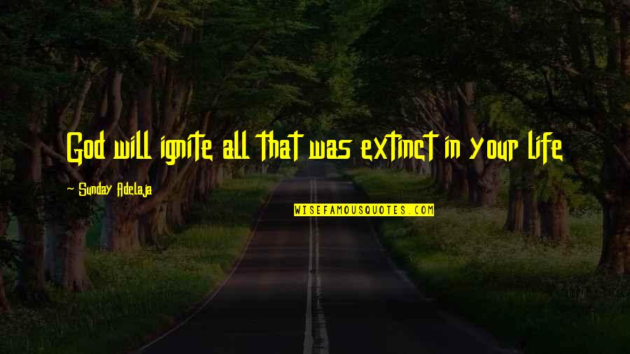 Your Life Calling Quotes By Sunday Adelaja: God will ignite all that was extinct in
