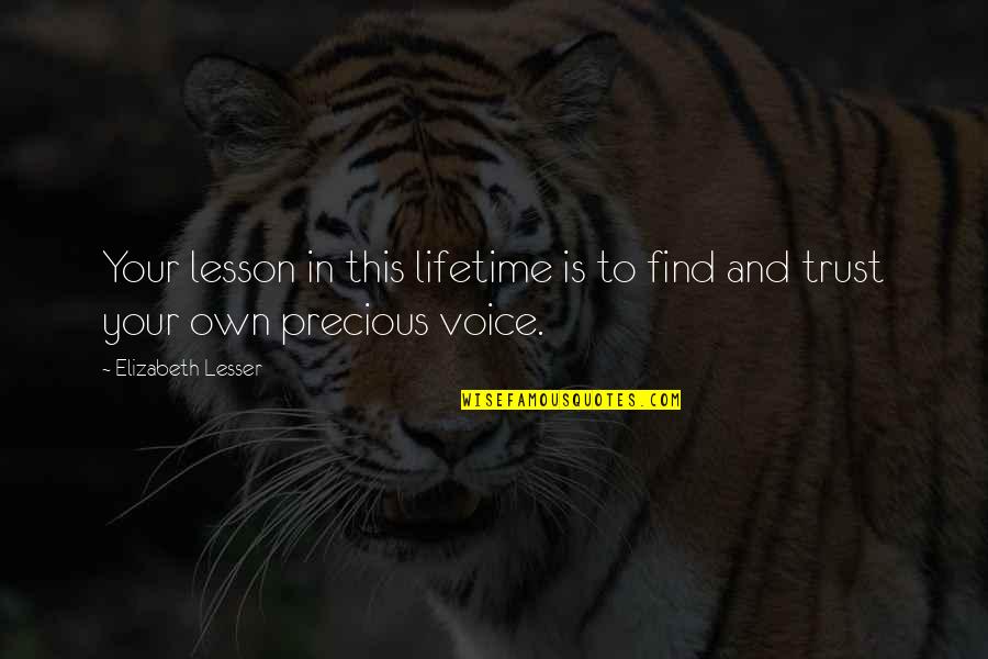 Your Life Is Precious Quotes By Elizabeth Lesser: Your lesson in this lifetime is to find Your Life Is Precious Quotes By Elizabeth Lesser: Your lesson in this lifetime is to find