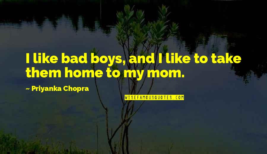 Your Like A Mom Quotes By Priyanka Chopra: I like bad boys, and I like to