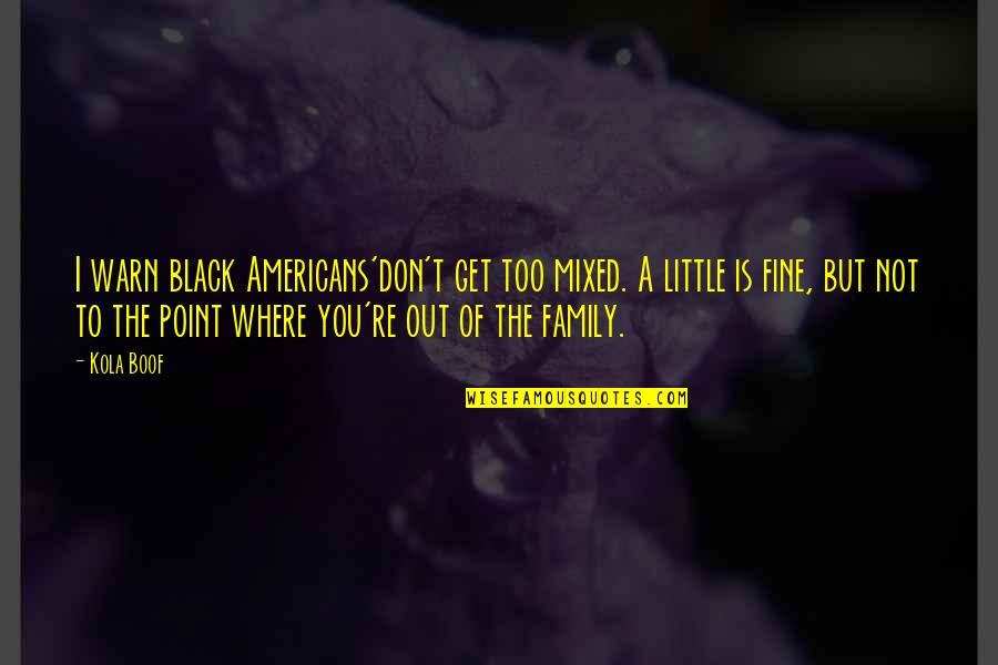 Your Little Family Quotes By Kola Boof: I warn black Americans'don't get too mixed. A