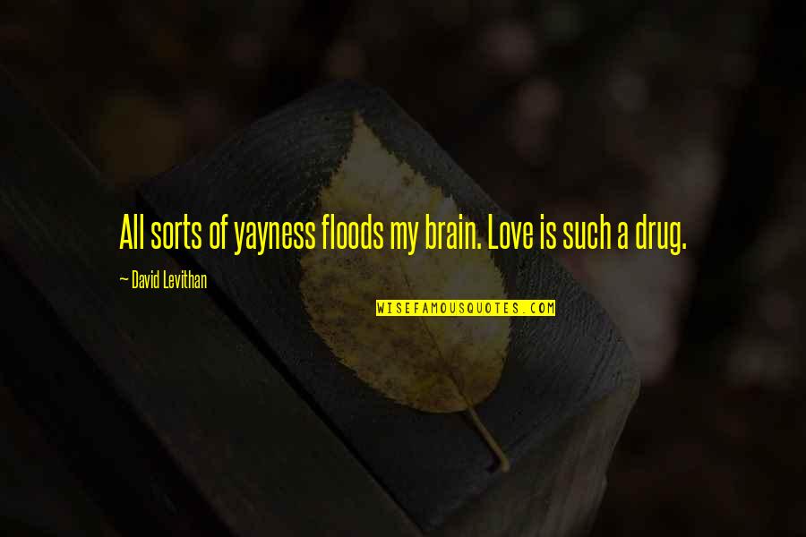 Your Love's A Drug Quotes By David Levithan: All sorts of yayness floods my brain. Love