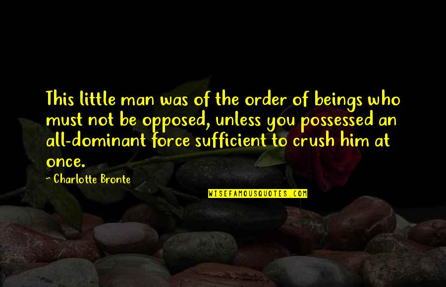 Your Man Crush Quotes By Charlotte Bronte: This little man was of the order of