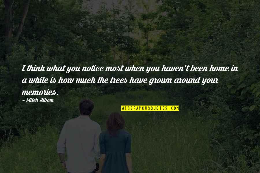 Your Memories Quotes By Mitch Albom: I think what you notice most when you