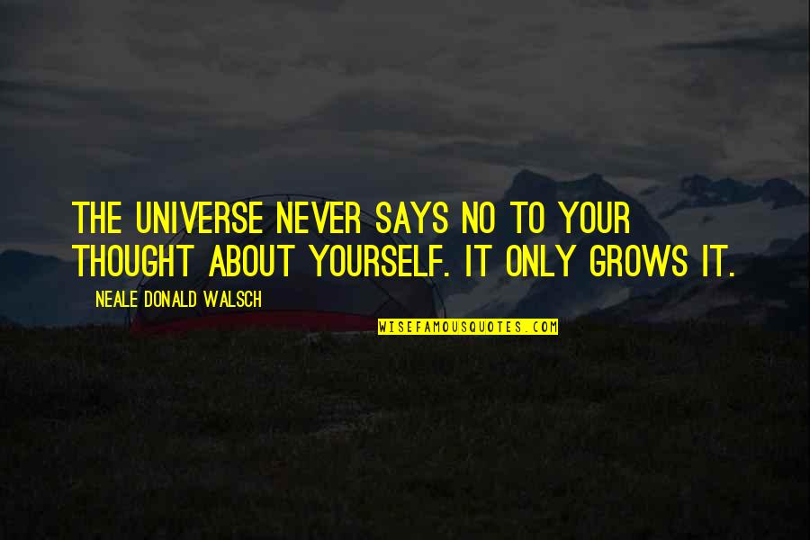 Your Mom From Son Quotes By Neale Donald Walsch: The universe never says no to your thought