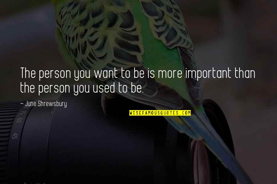 Your Most Important Person Quotes By June Shrewsbury: The person you want to be is more