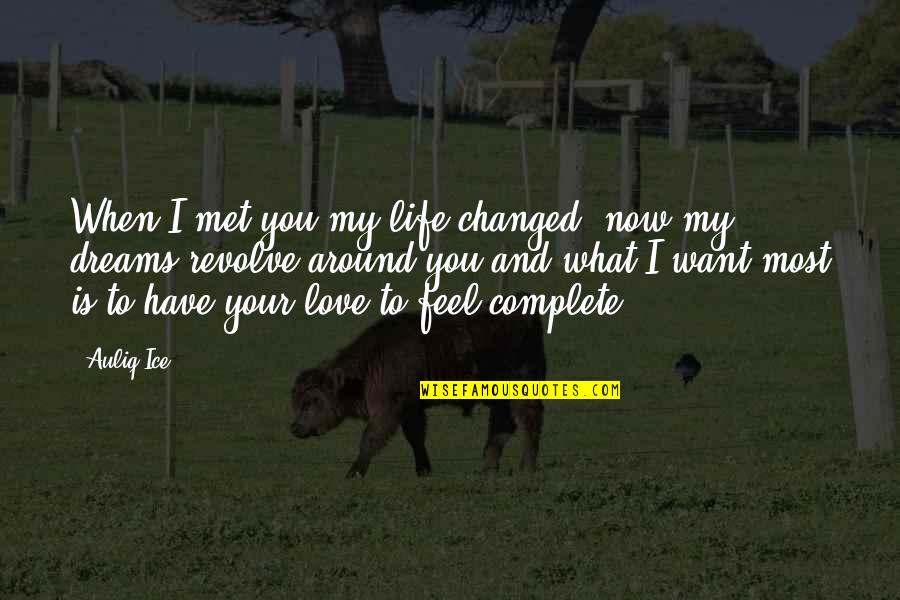 Your My First Love Quotes By Auliq Ice: When I met you my life changed, now
