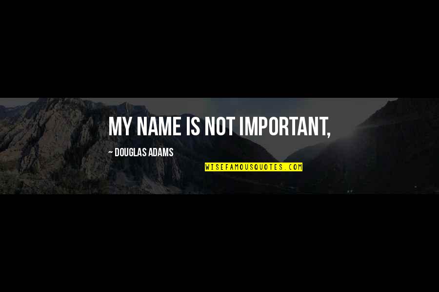 Your Name Is Important Quotes By Douglas Adams: My name is not important,
