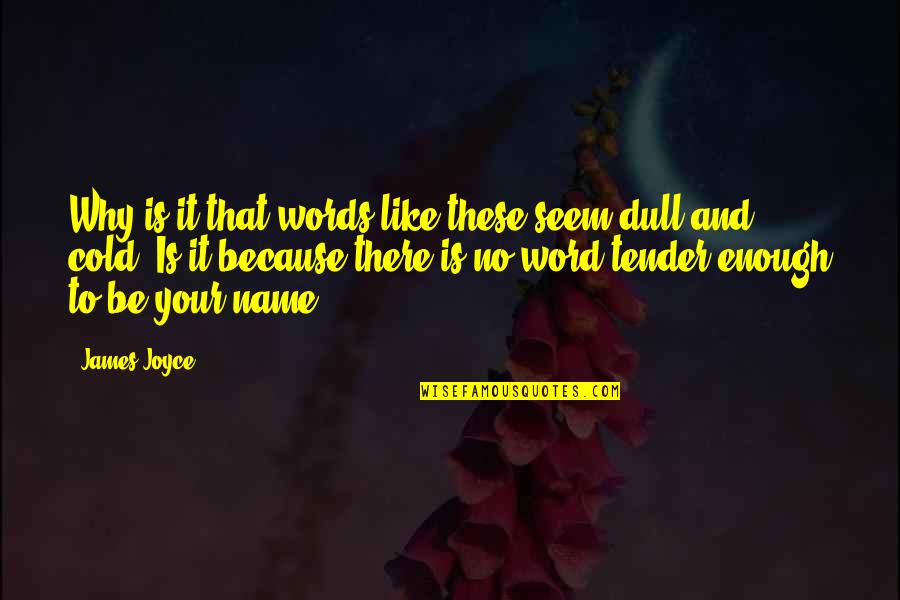 Your Name Quotes By James Joyce: Why is it that words like these seem