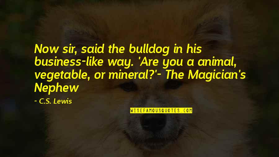 Your Nephew Quotes By C.S. Lewis: Now sir, said the bulldog in his business-like Your Nephew Quotes By C.S. Lewis: Now sir, said the bulldog in his business-like