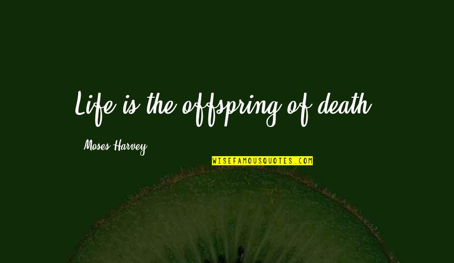 Your Offspring Quotes By Moses Harvey: Life is the offspring of death. Your Offspring Quotes By Moses Harvey: Life is the offspring of death.