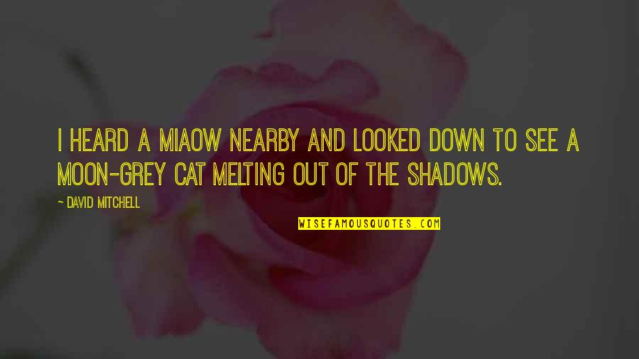 Your Oldest Friend Quotes By David Mitchell: I heard a miaow nearby and looked down Your Oldest Friend Quotes By David Mitchell: I heard a miaow nearby and looked down
