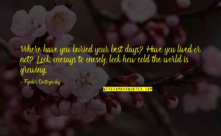 Your One Look Quotes By Fyodor Dostoyevsky: Where have you buried your best days? Have Your One Look Quotes By Fyodor Dostoyevsky: Where have you buried your best days? Have