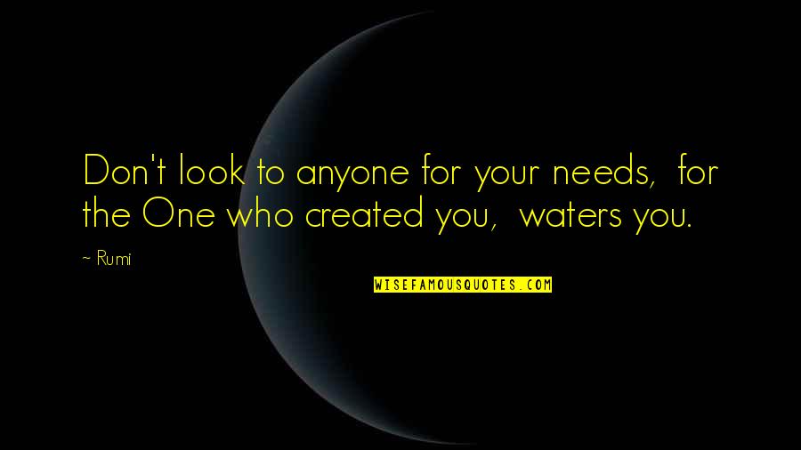 Your One Look Quotes By Rumi: Don't look to anyone for your needs, for