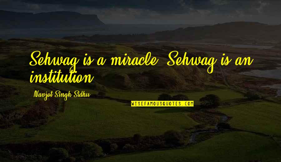 Your Opinion Is Important Quotes By Navjot Singh Sidhu: Sehwag is a miracle, Sehwag is an institution Your Opinion Is Important Quotes By Navjot Singh Sidhu: Sehwag is a miracle, Sehwag is an institution