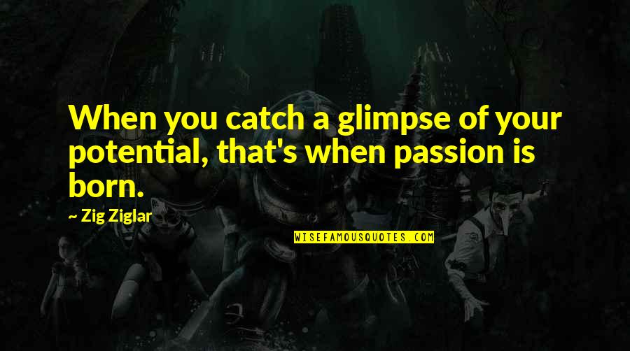 Your Passion Quotes By Zig Ziglar: When you catch a glimpse of your potential,