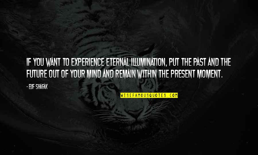 Your Past Present And Future Quotes By Elif Shafak: If you want to experience eternal illumination, put Your Past Present And Future Quotes By Elif Shafak: If you want to experience eternal illumination, put