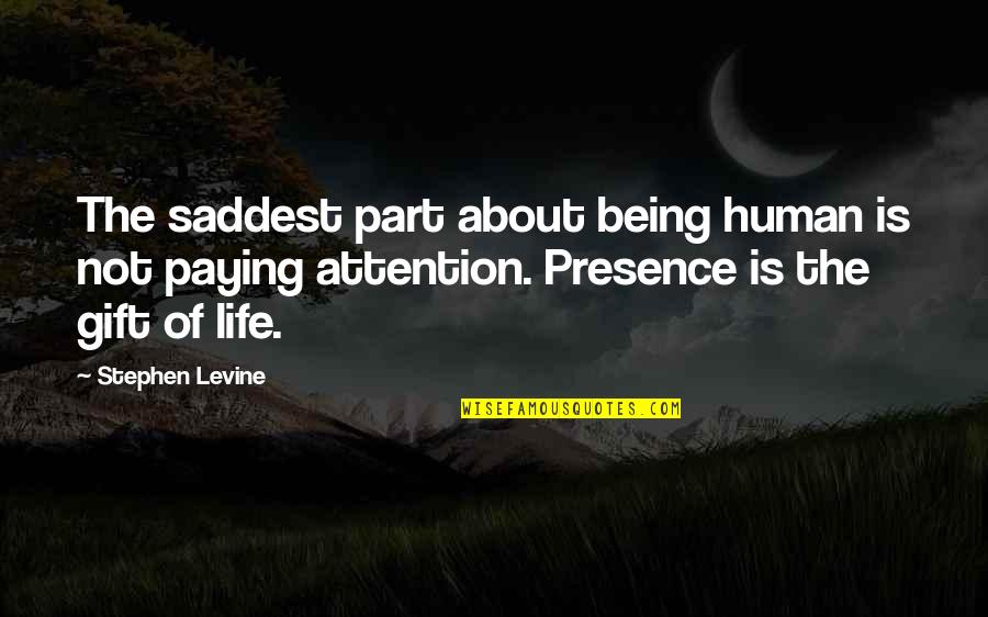 Your Presence Is The Best Gift Quotes By Stephen Levine: The saddest part about being human is not