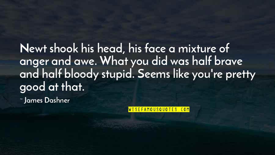 Your Pretty Face Quotes By James Dashner: Newt shook his head, his face a mixture