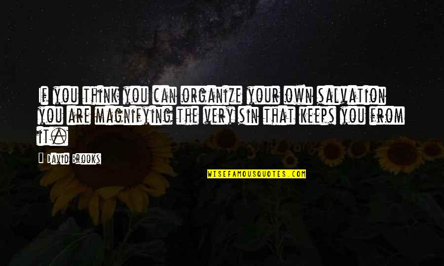 Your Pride Quotes By David Brooks: If you think you can organize your own Your Pride Quotes By David Brooks: If you think you can organize your own