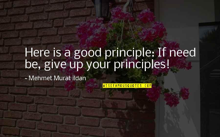 Your Principles Quotes By Mehmet Murat Ildan: Here is a good principle: If need be,