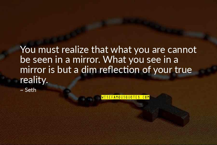 Your Reflection Quotes By Seth: You must realize that what you are cannot