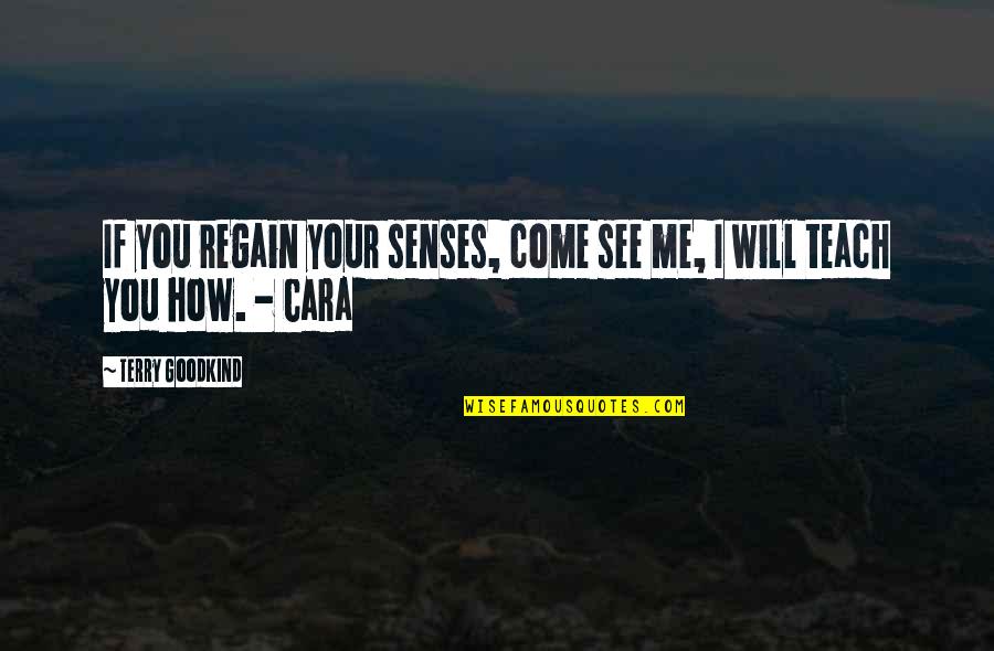 Your Senses Quotes By Terry Goodkind: If you regain your senses, come see me,