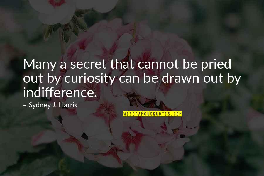 Your Son Graduating Quotes By Sydney J. Harris: Many a secret that cannot be pried out