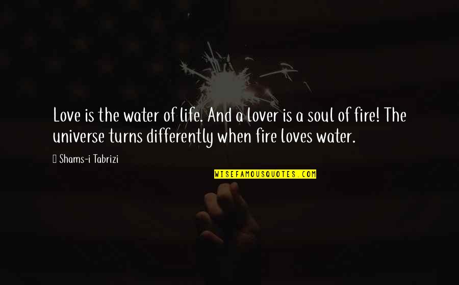 Your Soul On Fire Quotes By Shams-i Tabrizi: Love is the water of life. And a Your Soul On Fire Quotes By Shams-i Tabrizi: Love is the water of life. And a