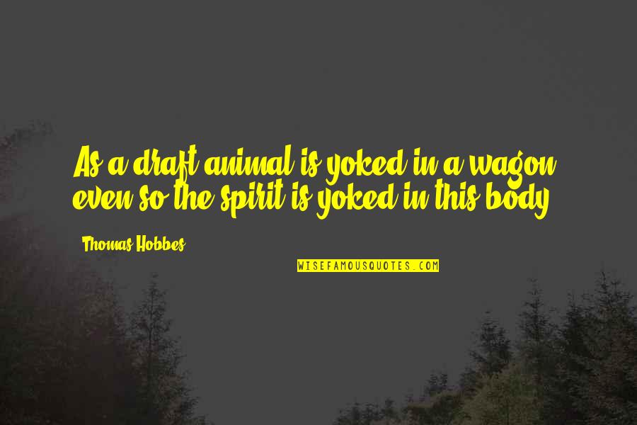 Your Spirit Animal Quotes By Thomas Hobbes: As a draft-animal is yoked in a wagon,