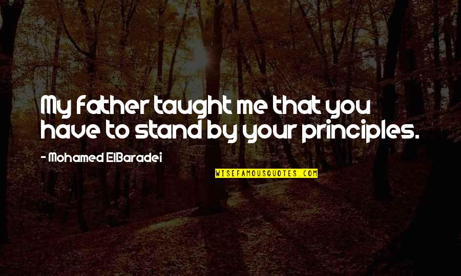 Your Stand Quotes By Mohamed ElBaradei: My father taught me that you have to Your Stand Quotes By Mohamed ElBaradei: My father taught me that you have to