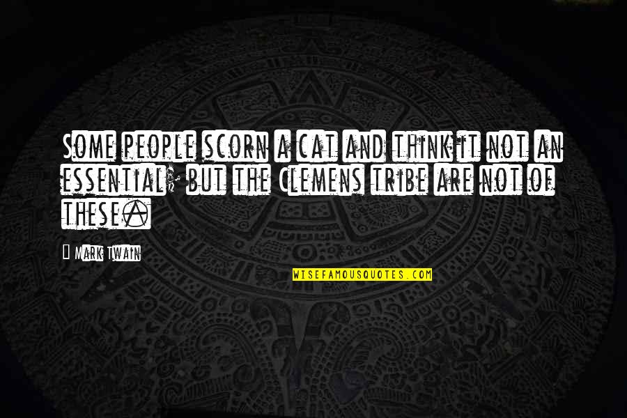 Your Status In A Relationship Quotes By Mark Twain: Some people scorn a cat and think it