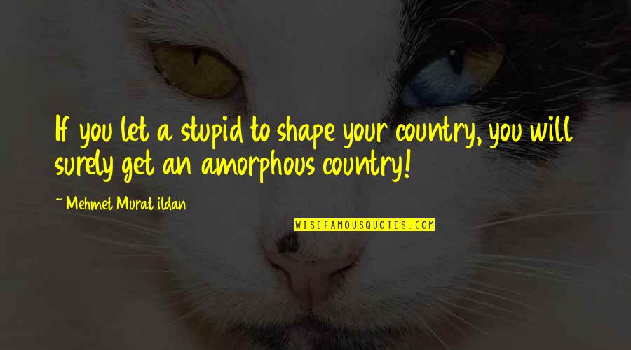 Your Stupid Quotes By Mehmet Murat Ildan: If you let a stupid to shape your Your Stupid Quotes By Mehmet Murat Ildan: If you let a stupid to shape your