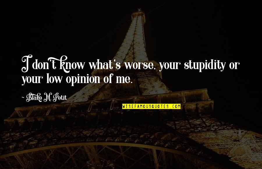 Your Stupidity Quotes By Blake M. Petit: I don't know what's worse, your stupidity or