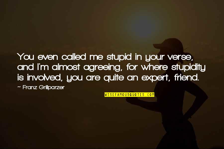 Your Stupidity Quotes By Franz Grillparzer: You even called me stupid in your verse,