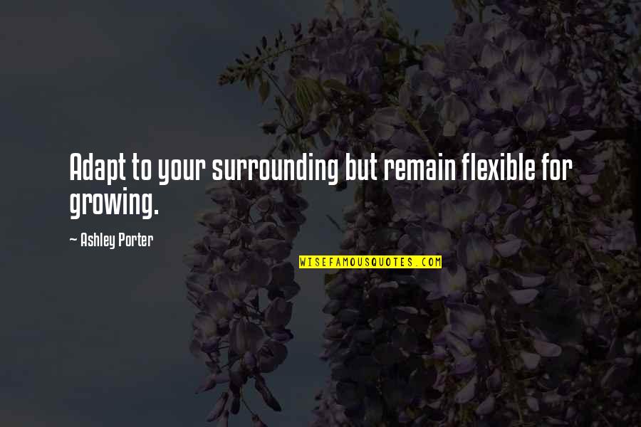 Your Surrounding Quotes By Ashley Porter: Adapt to your surrounding but remain flexible for